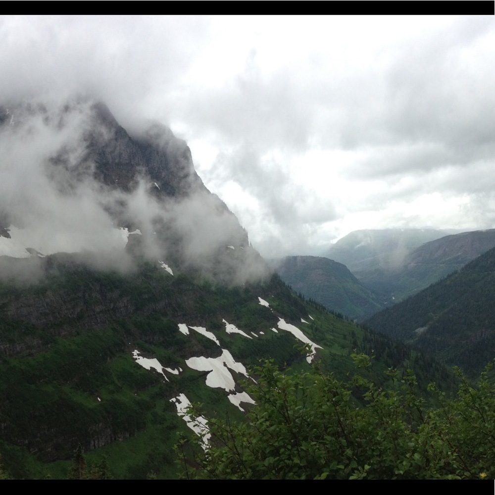 Meet your Posher, Jamie